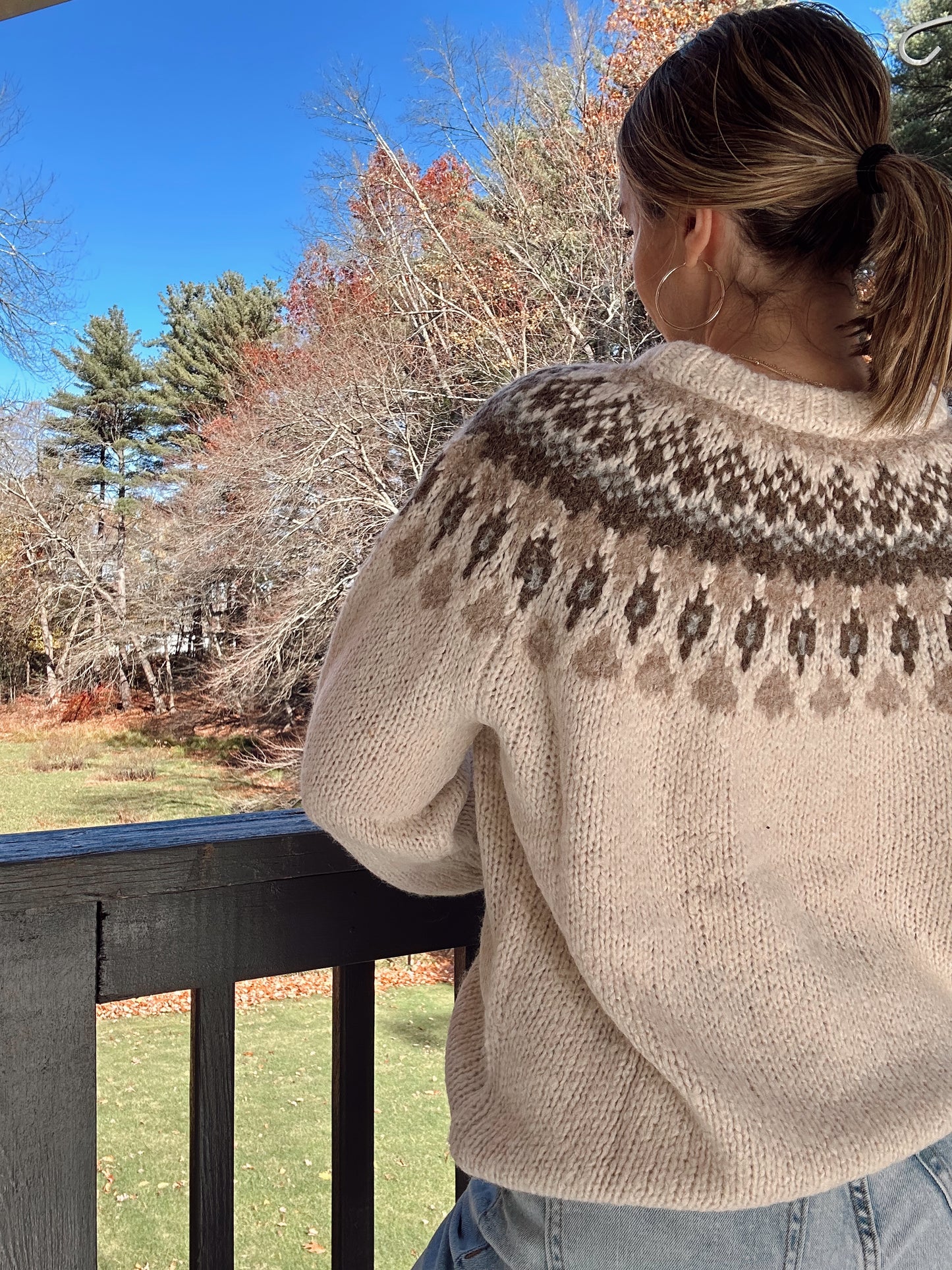 Ski Lodge Fair Isle Pattern - Ivory
