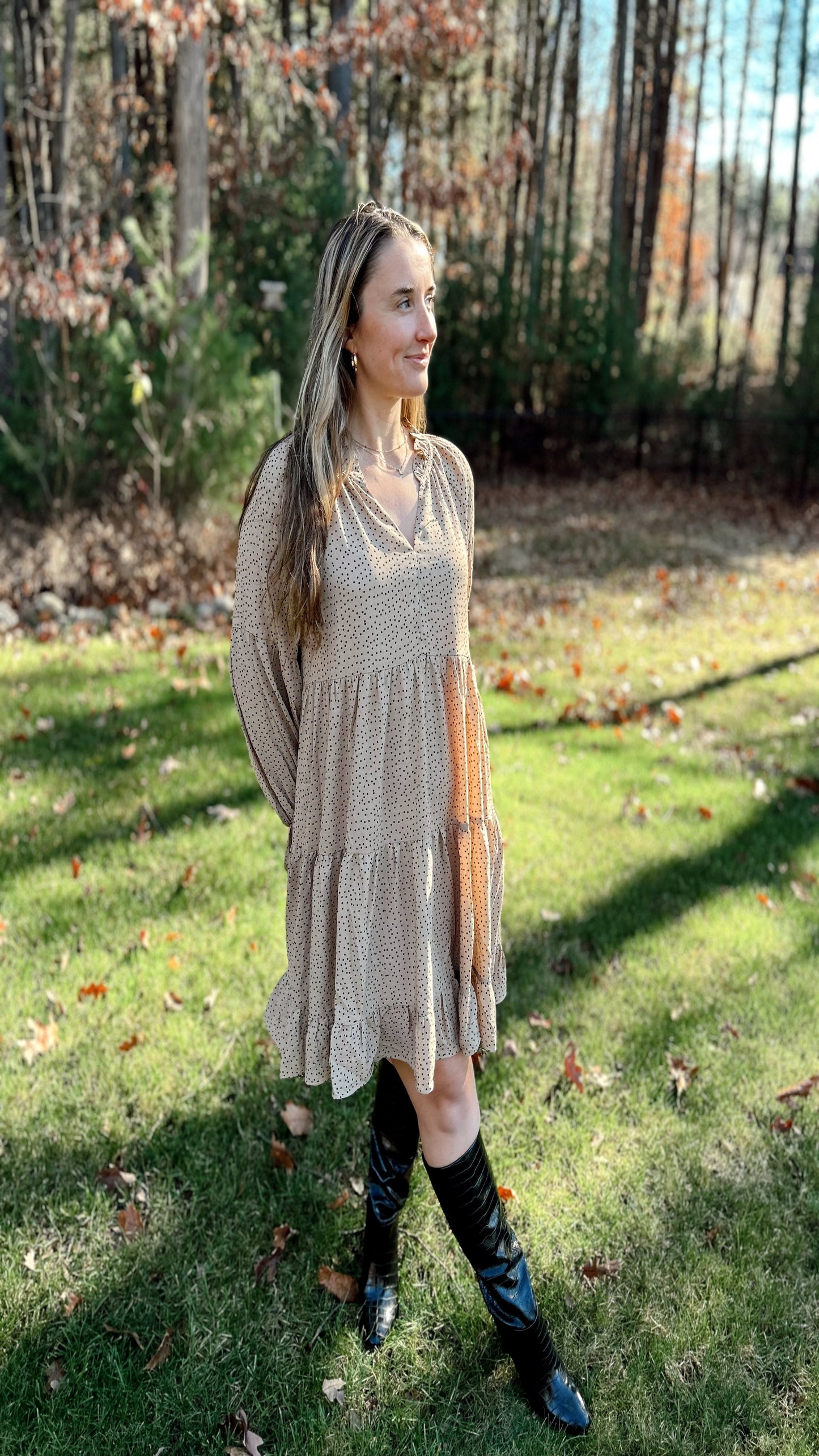 Cinnamon Sugar Dress - Taupe/Black