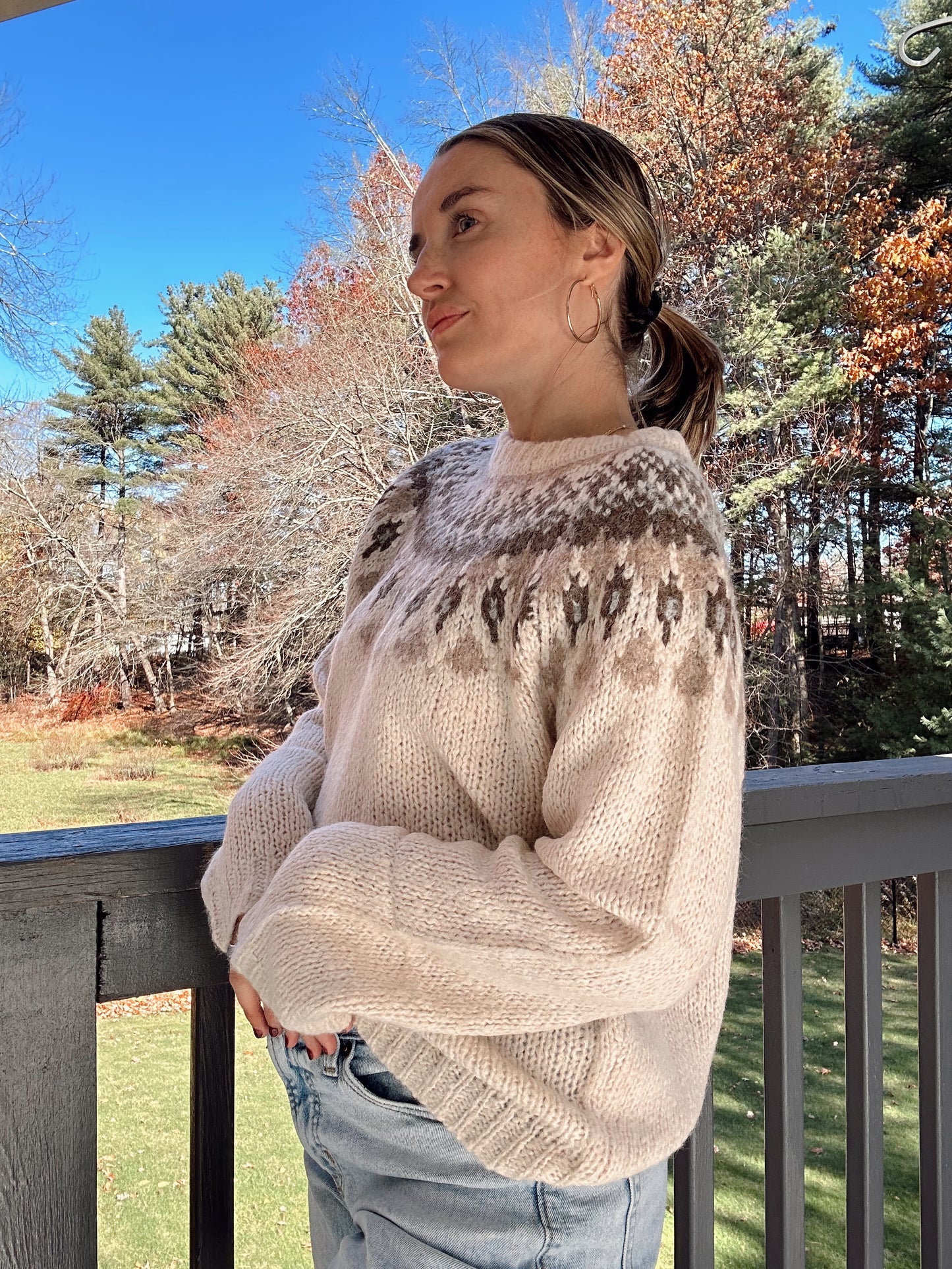 Ski Lodge Fair Isle Pattern - Ivory